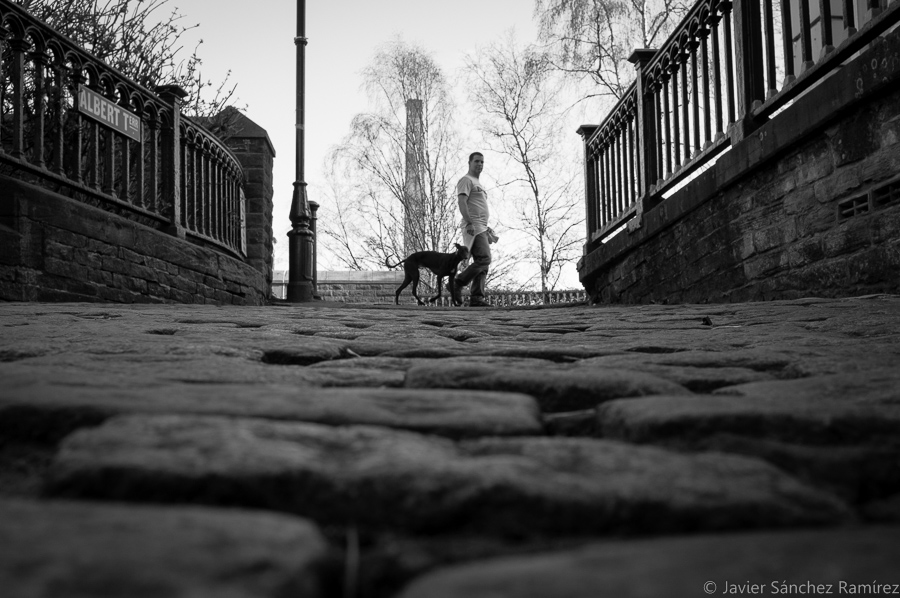 Dog at Albert Terrace, Bradford. Saltaire Photography